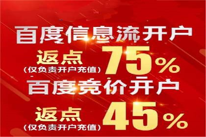 SEM广告投放的技巧与策略——成功案例分享